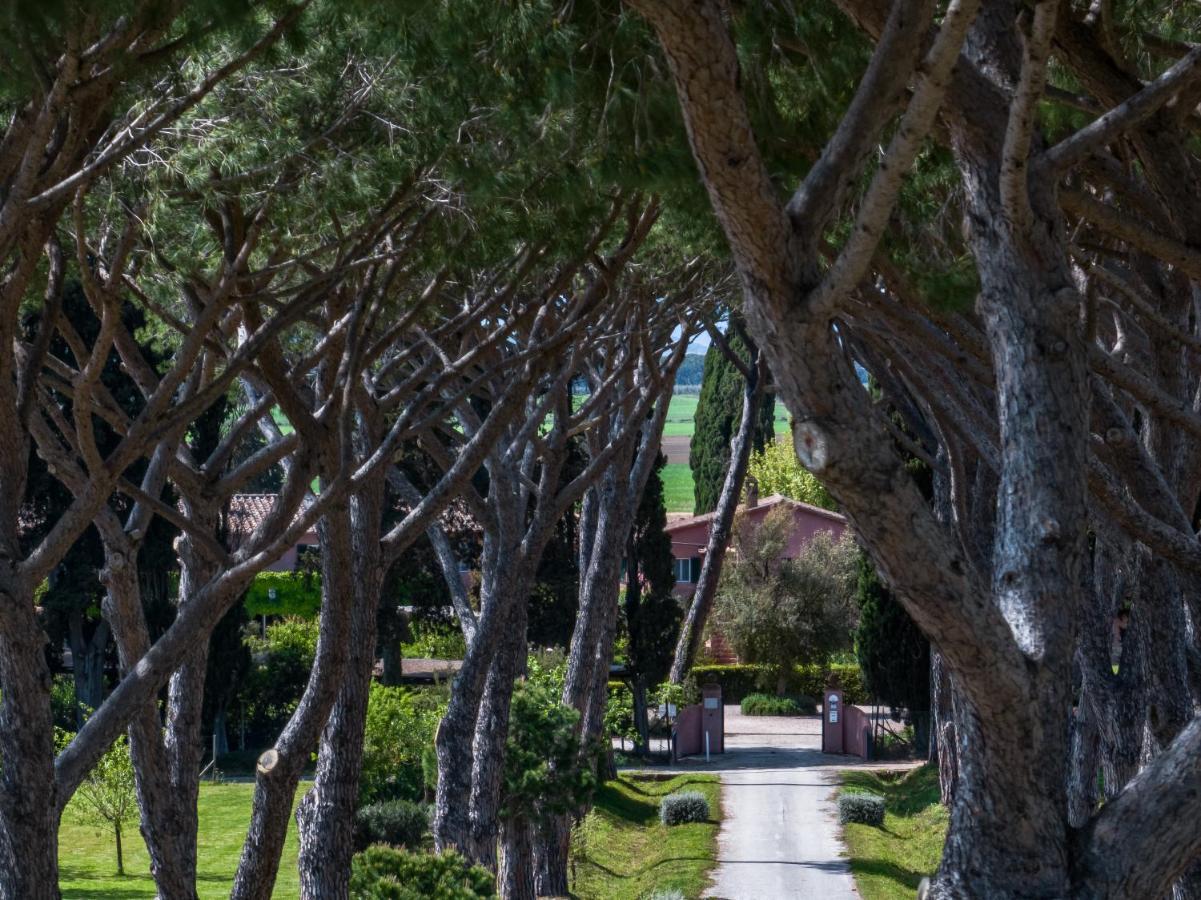 Le Versegge Resort Braccagni ภายนอก รูปภาพ